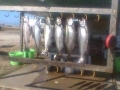 IMG_80782012381758