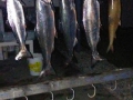 image0000011